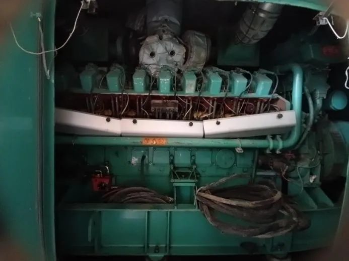 MOTOR CUMMINS DE 1,25 MW 