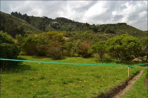 Imagen del inmueble BI11