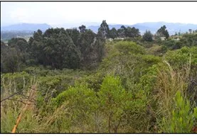 Imagen del inmueble BI11