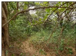 Imagen del inmueble BI3