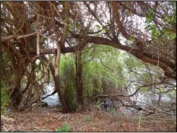 Imagen del inmueble BI3