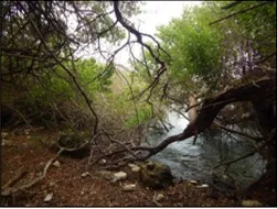 Imagen del inmueble BI3