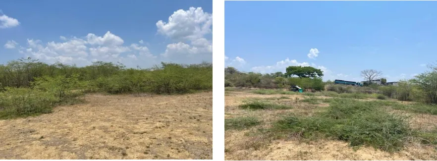 Imagen del inmueble BI50