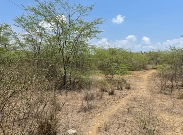 Imagen del inmueble BI50