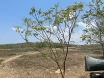 Imagen del inmueble BI50