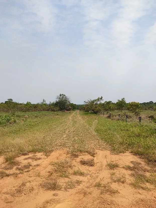 Imagen del inmueble BI51