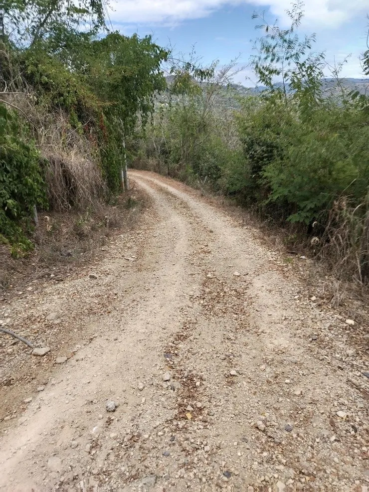 Imagen del inmueble BI55