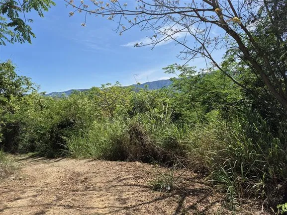 Imagen del inmueble BI55