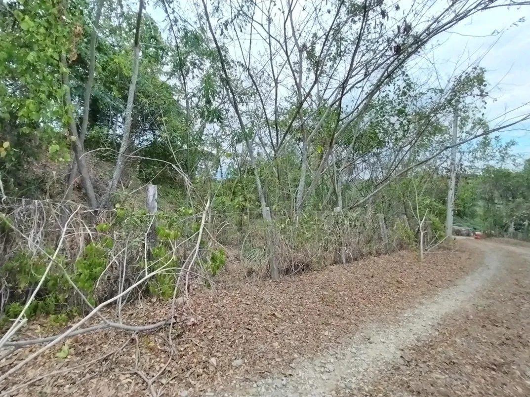 Imagen del inmueble BI55