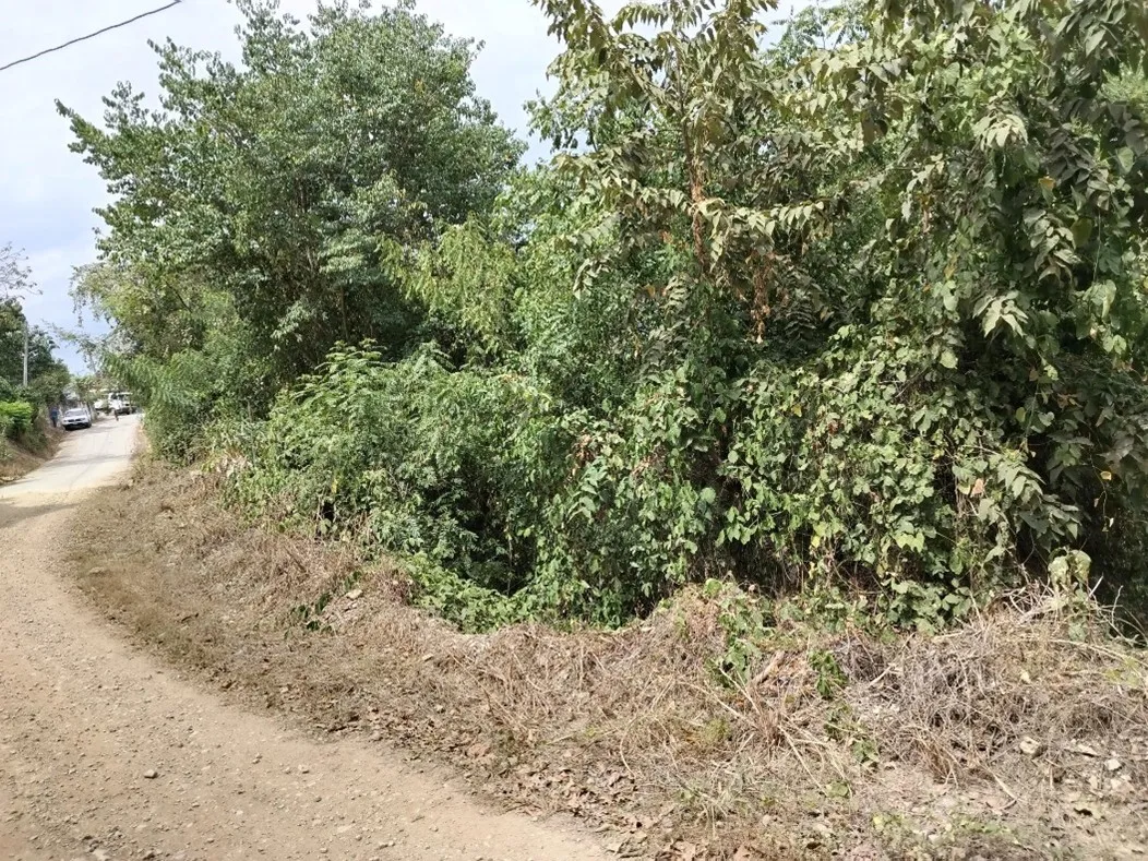 Imagen del inmueble BI55