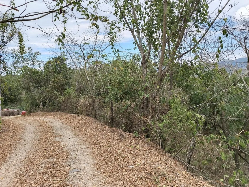 Imagen del inmueble BI55