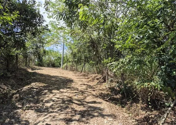 Imagen del inmueble BI55