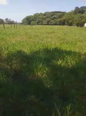 Imagen del inmueble BI57