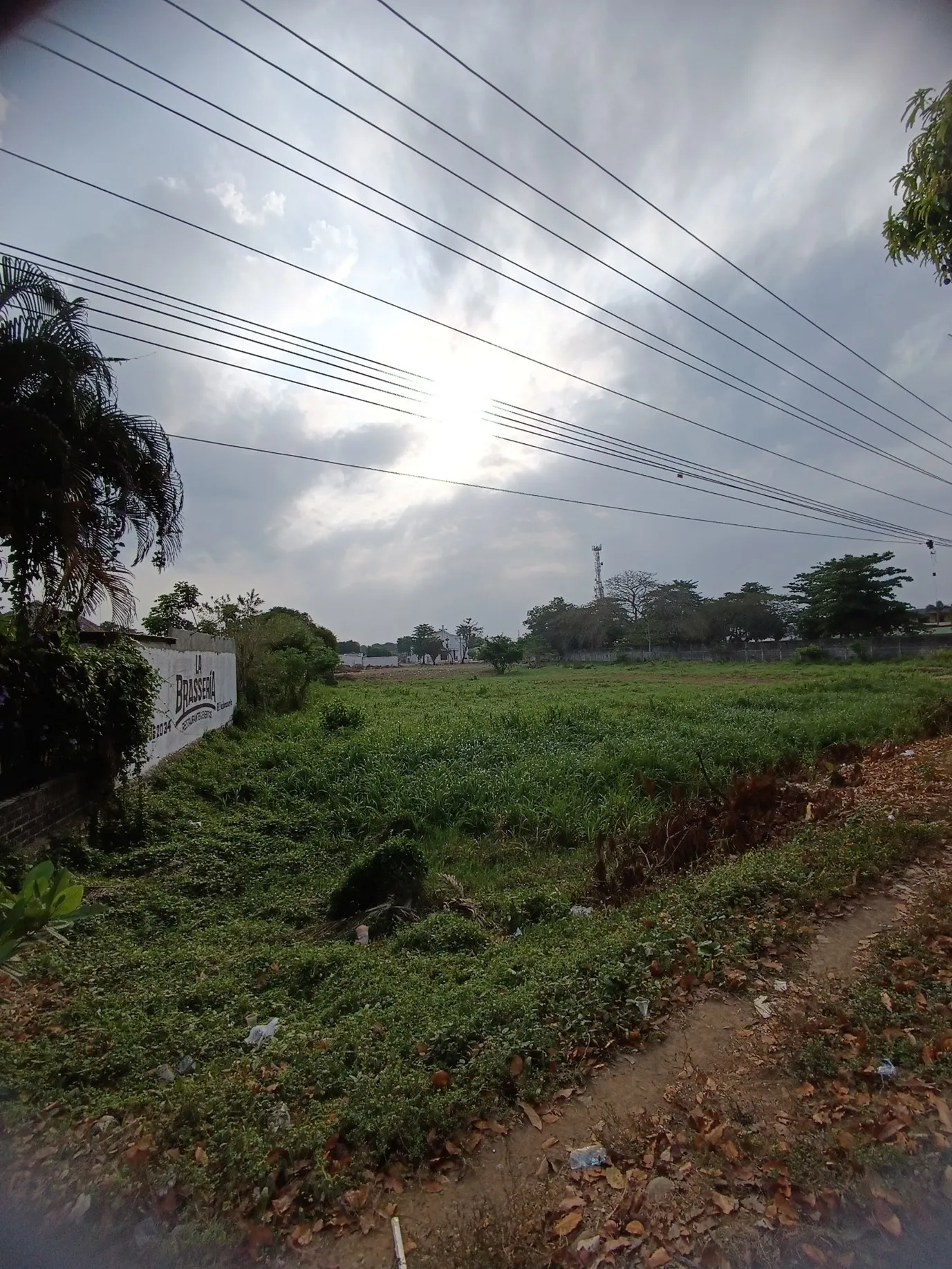 Imagen del inmueble BI61