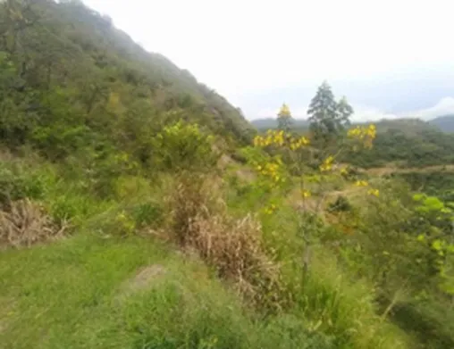 Imagen del inmueble BI64