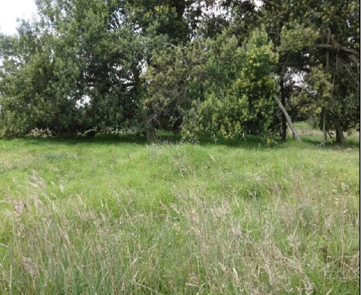 Imagen del inmueble BI67