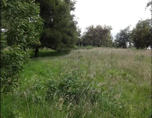 Imagen del inmueble BI67