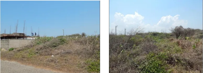 Imagen del inmueble BI7