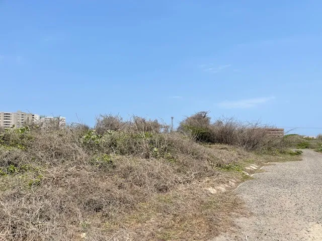 Imagen del inmueble BI7