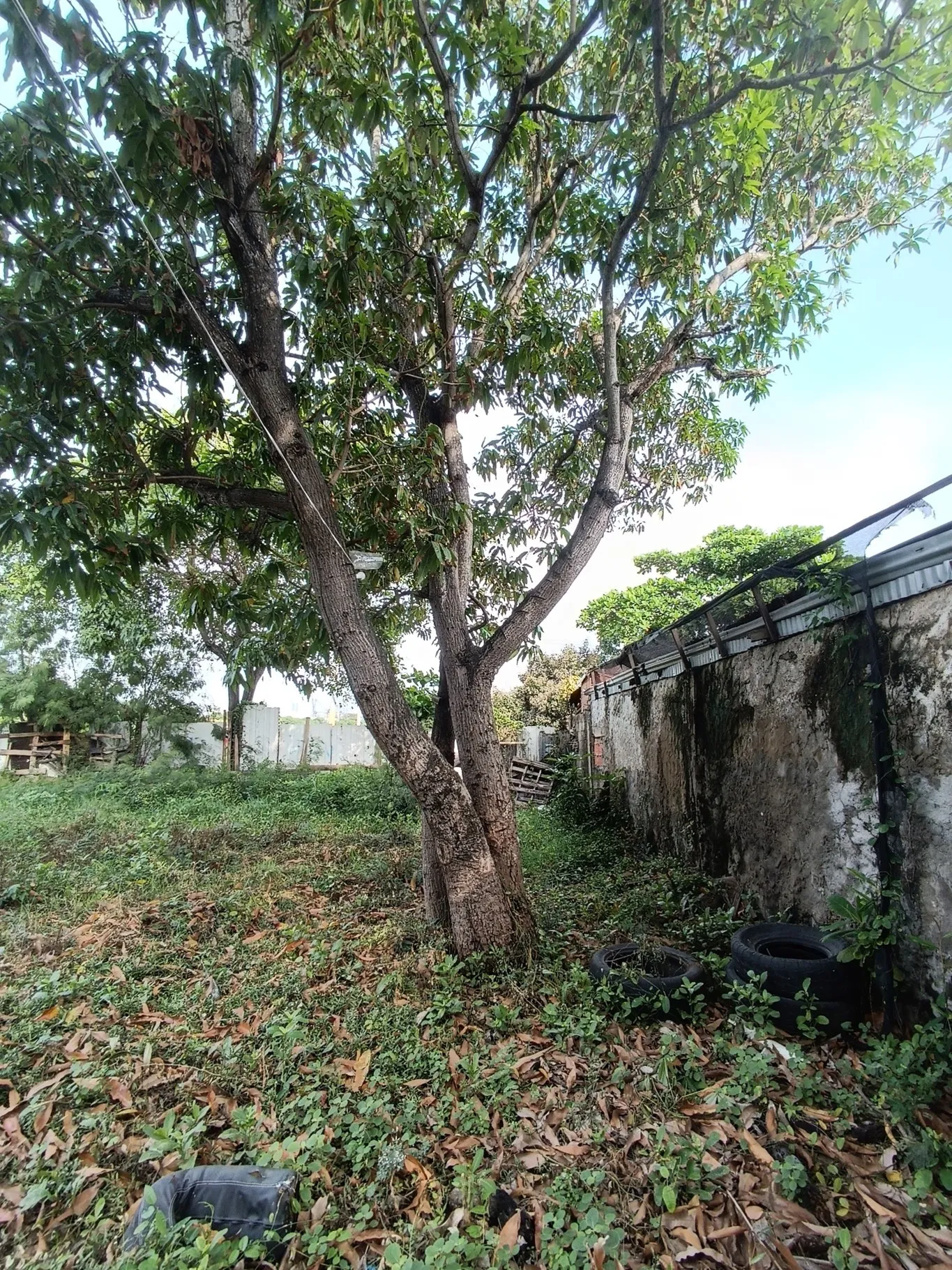 Imagen del inmueble BI71