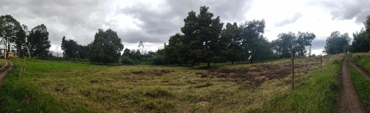 Imagen del inmueble BI8