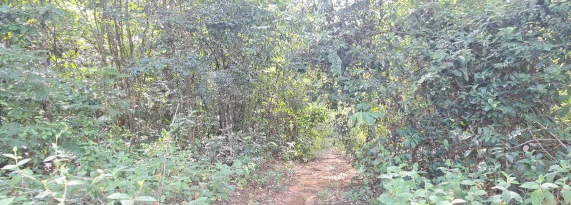 Imagen del inmueble BI80