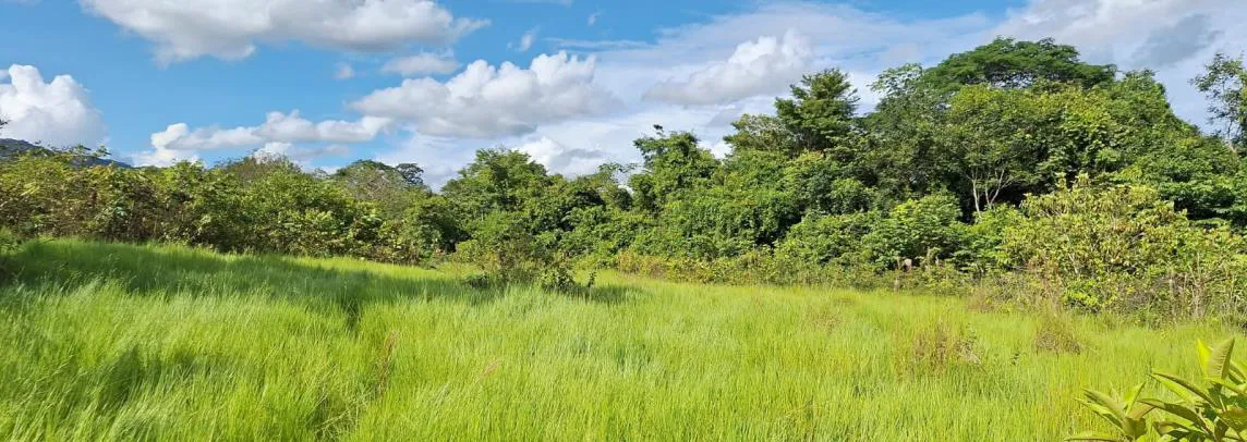 Imagen del inmueble BI80