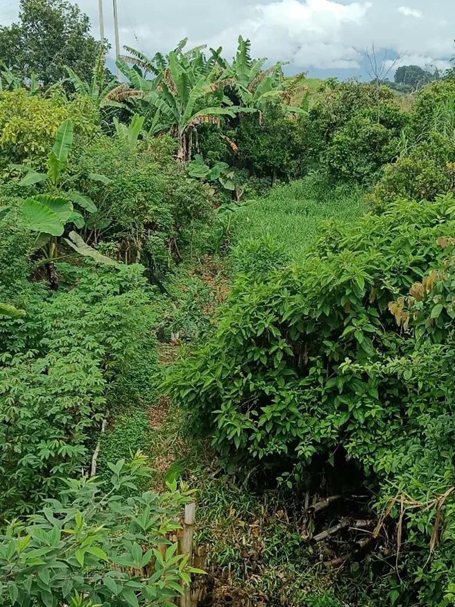 Imagen del inmueble BI83