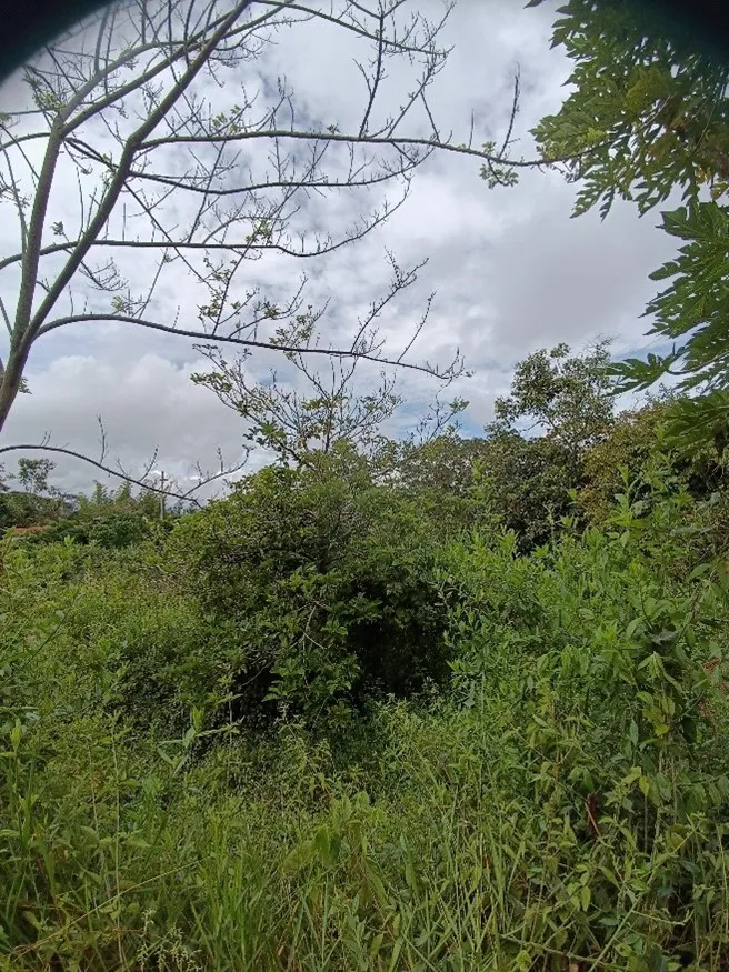 Imagen del inmueble BI83